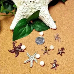 Beach STARFISH Mix Charms Lot Collection MOP Chunk Beads Jewelry Making Loose